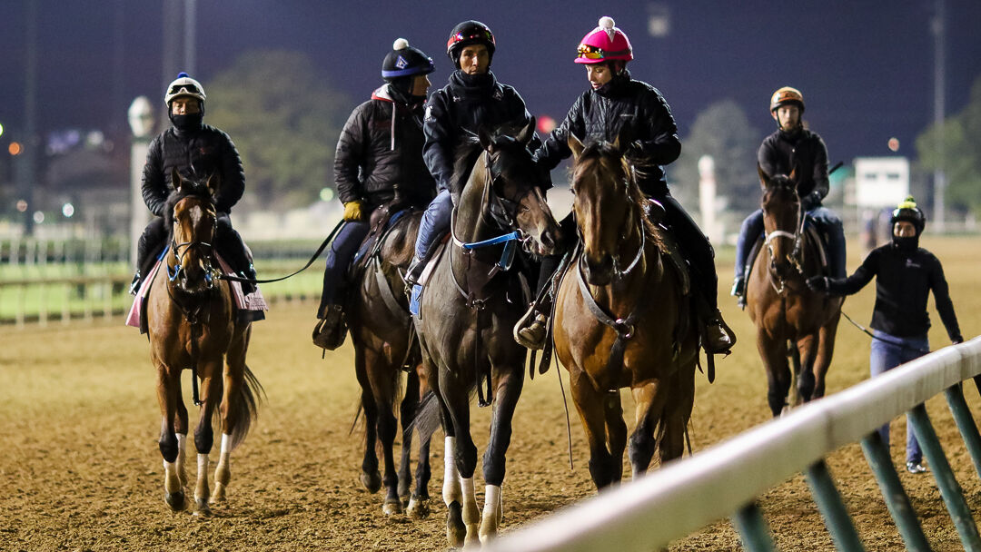 horses on track.jpg